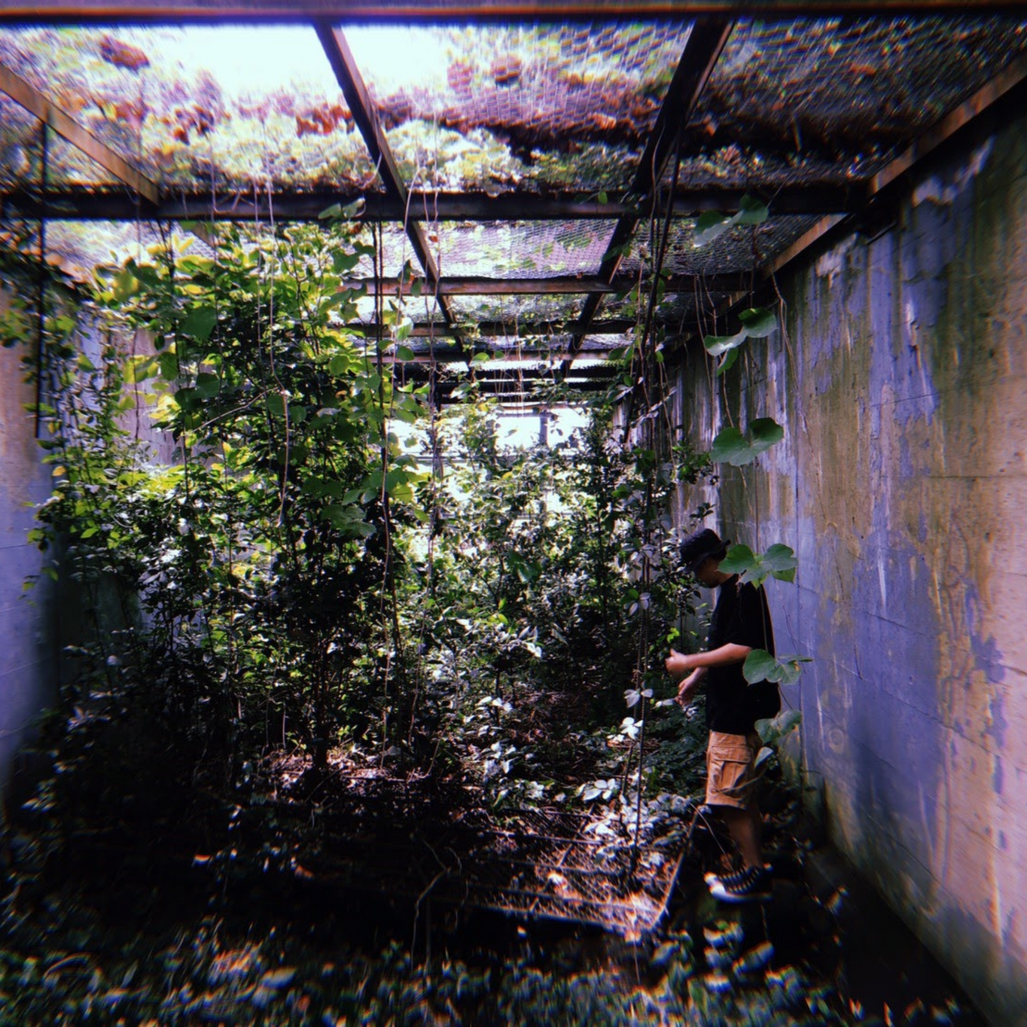 bpm135 KOYANMUSIC