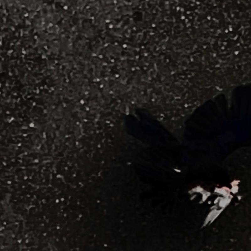 Andylit が NEMLAND とのニューシングル「NEMURENE」をリリース！