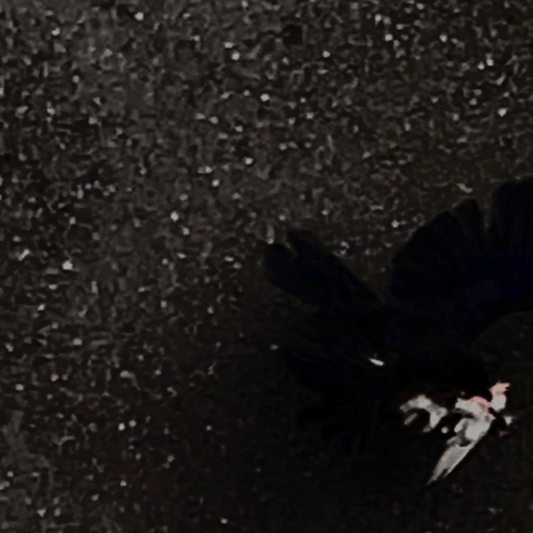 Andylit が NEMLAND とのニューシングル「NEMURENE」をリリース！