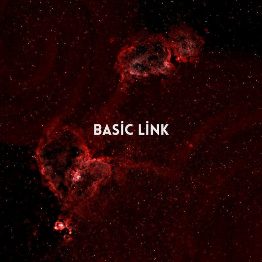 Basic Link